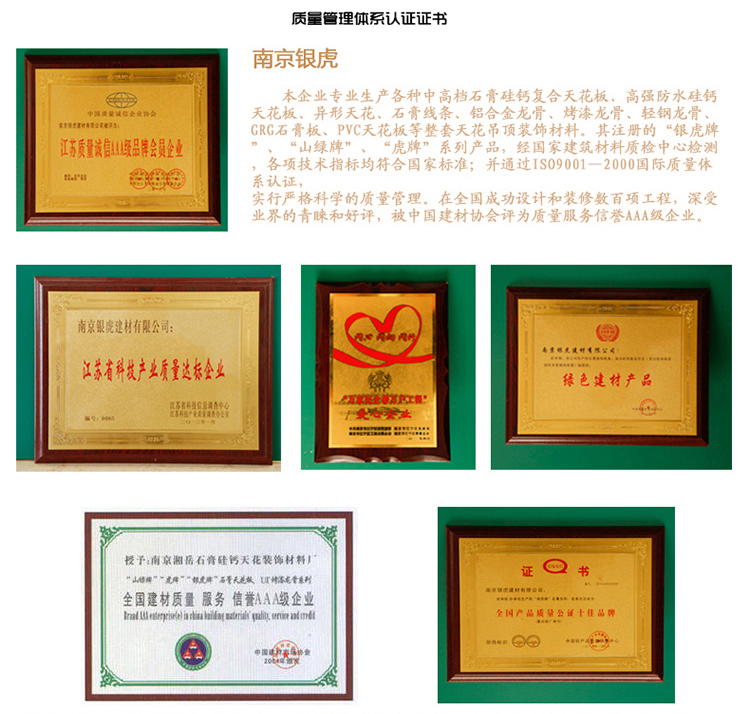 羅馬柱、羅馬柱頭系列